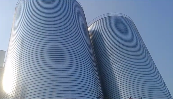 翠峦2座混凝土高架卷板仓